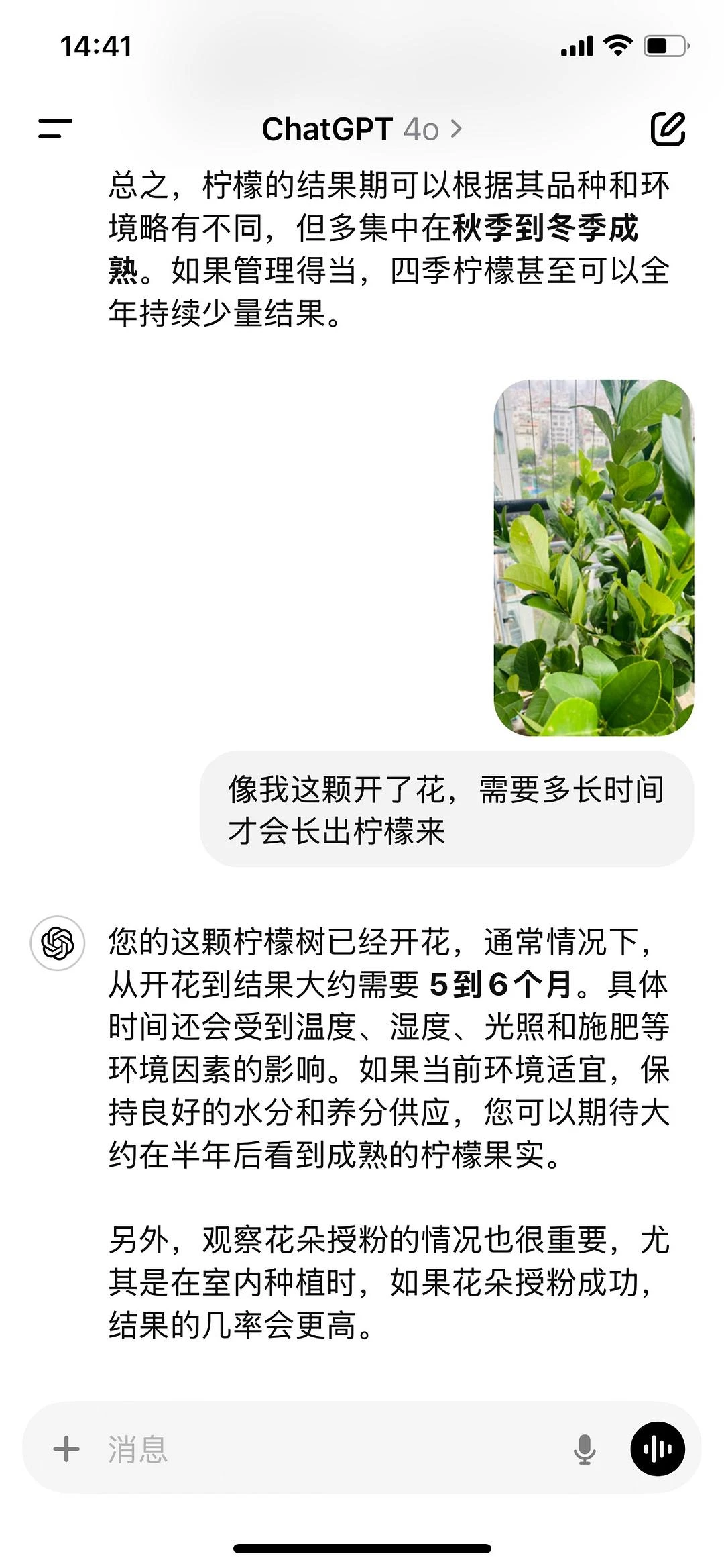 阿西！还要半年才能看到柠檬🍋 - 图1