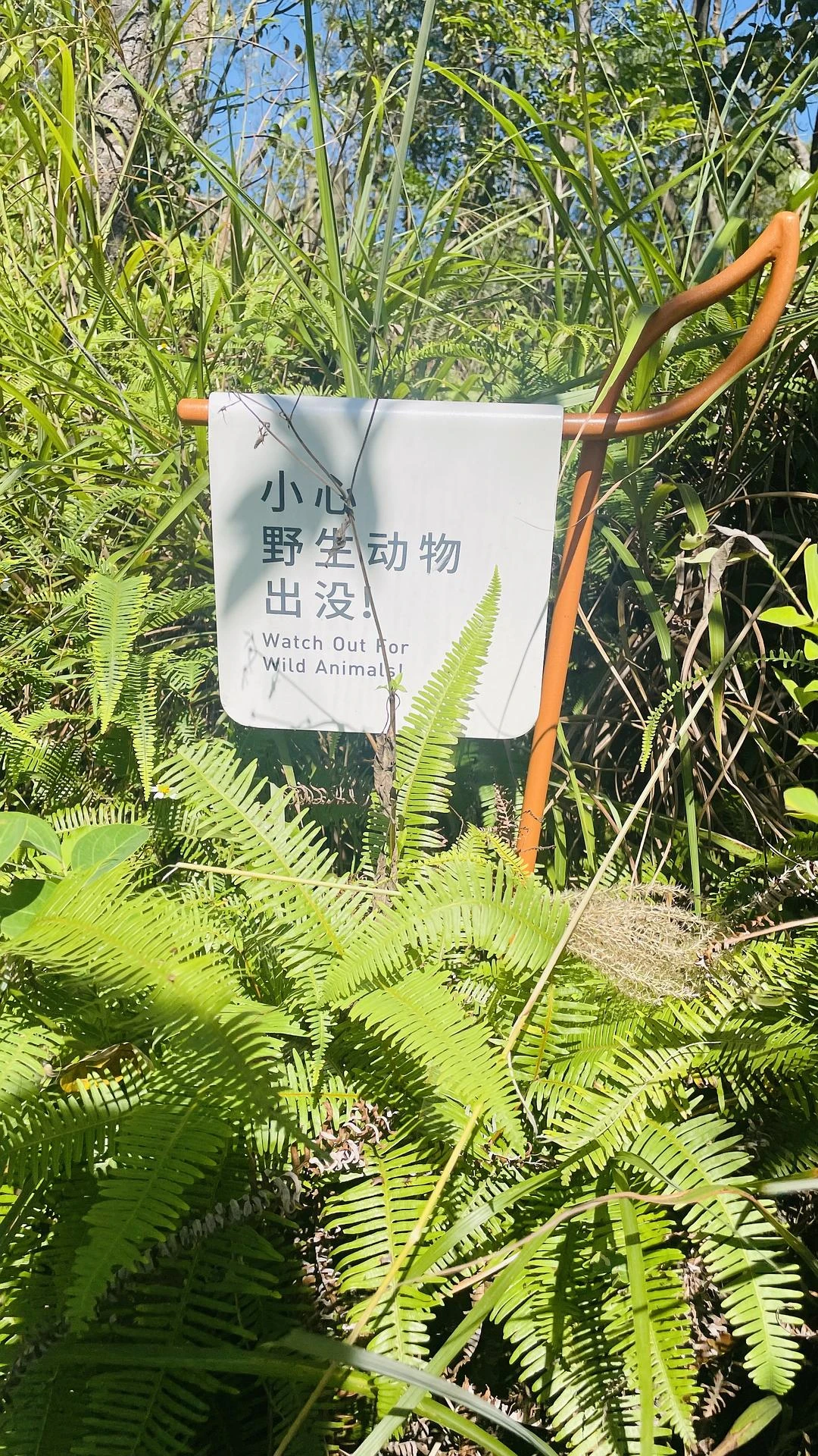 go hiking ⛰️
去去班味儿～ - 图3