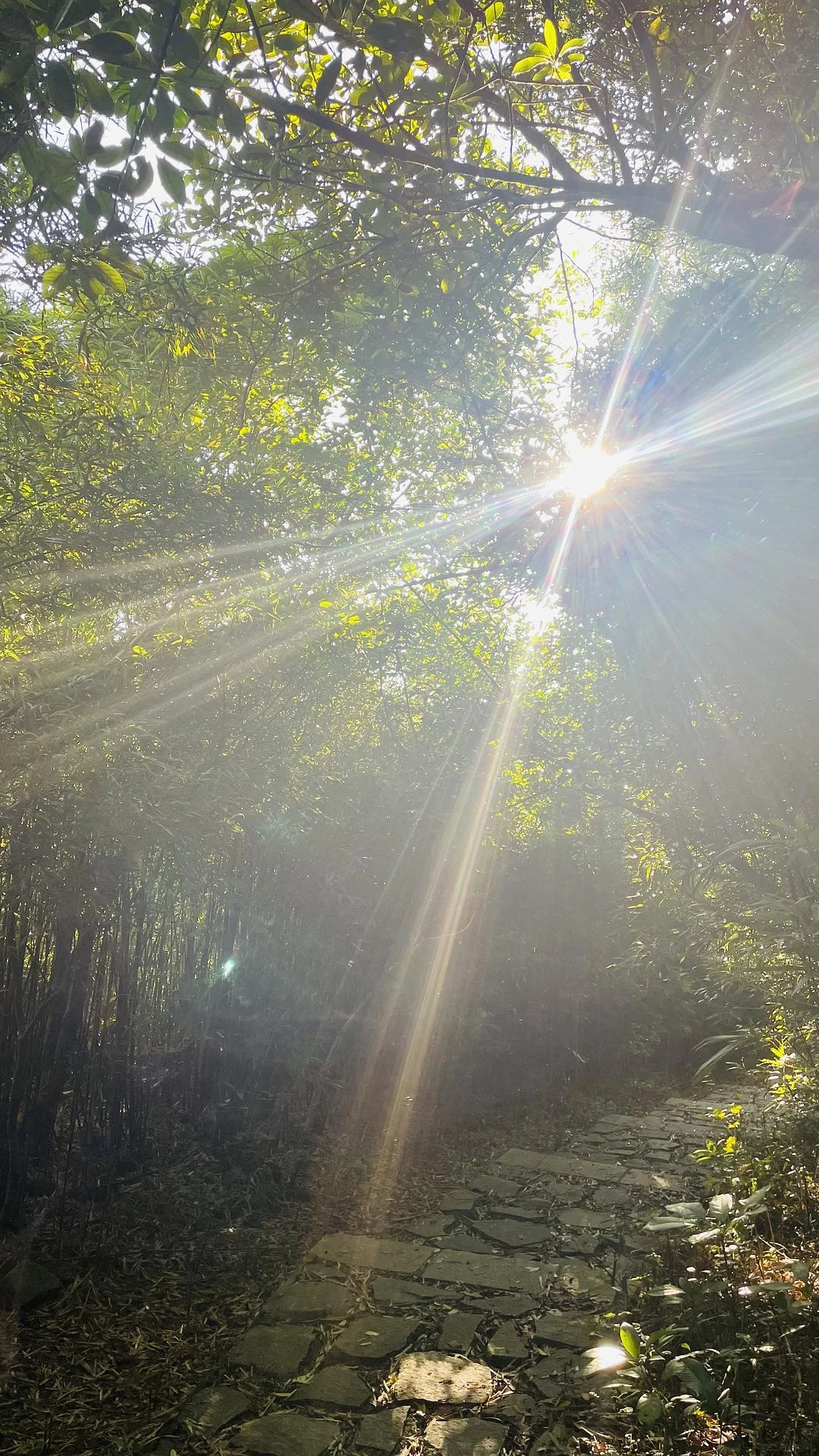 go hiking ⛰️
去去班味儿～ - 图4