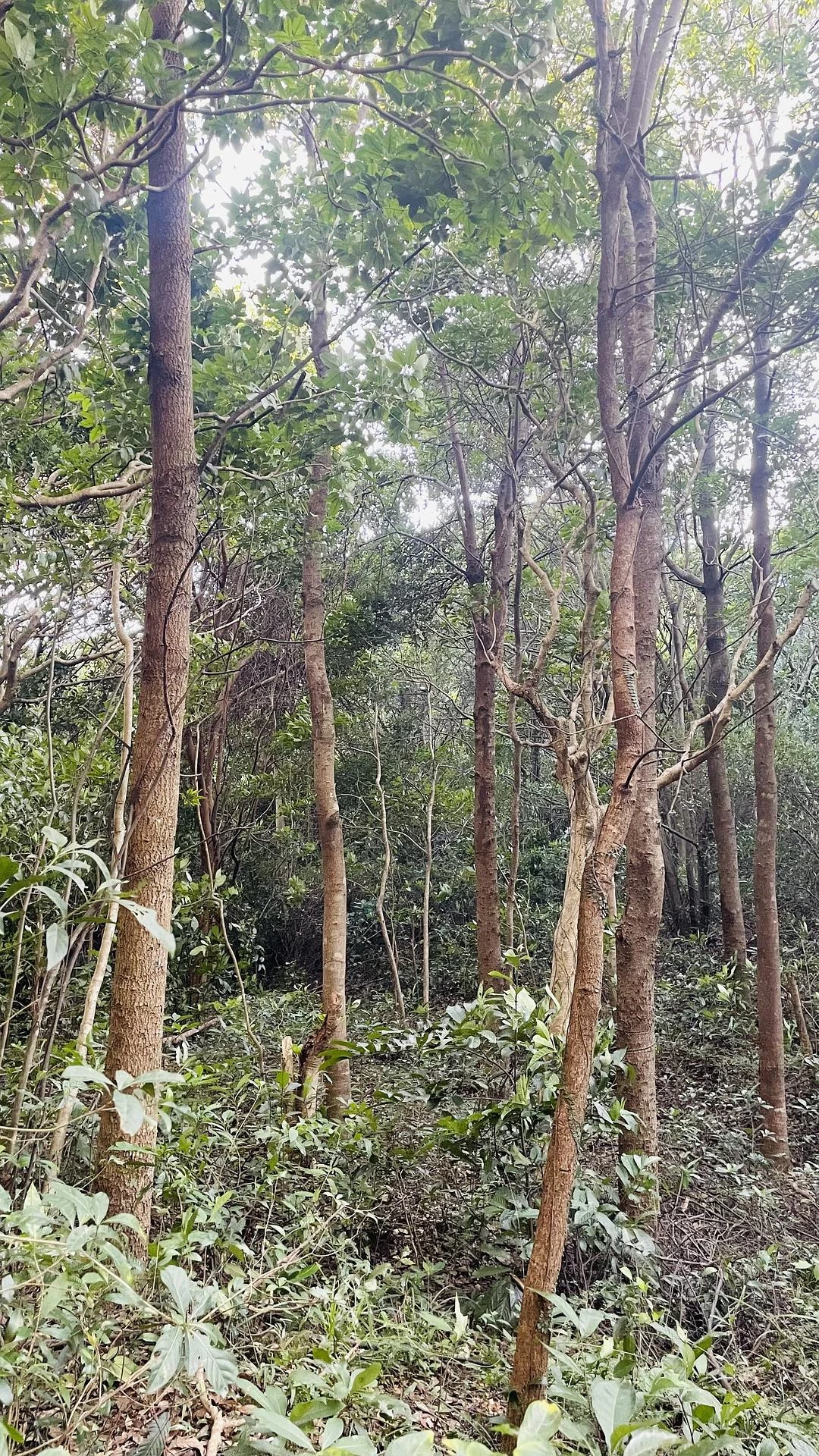 go hiking ⛰️
去去班味儿～ - 图5
