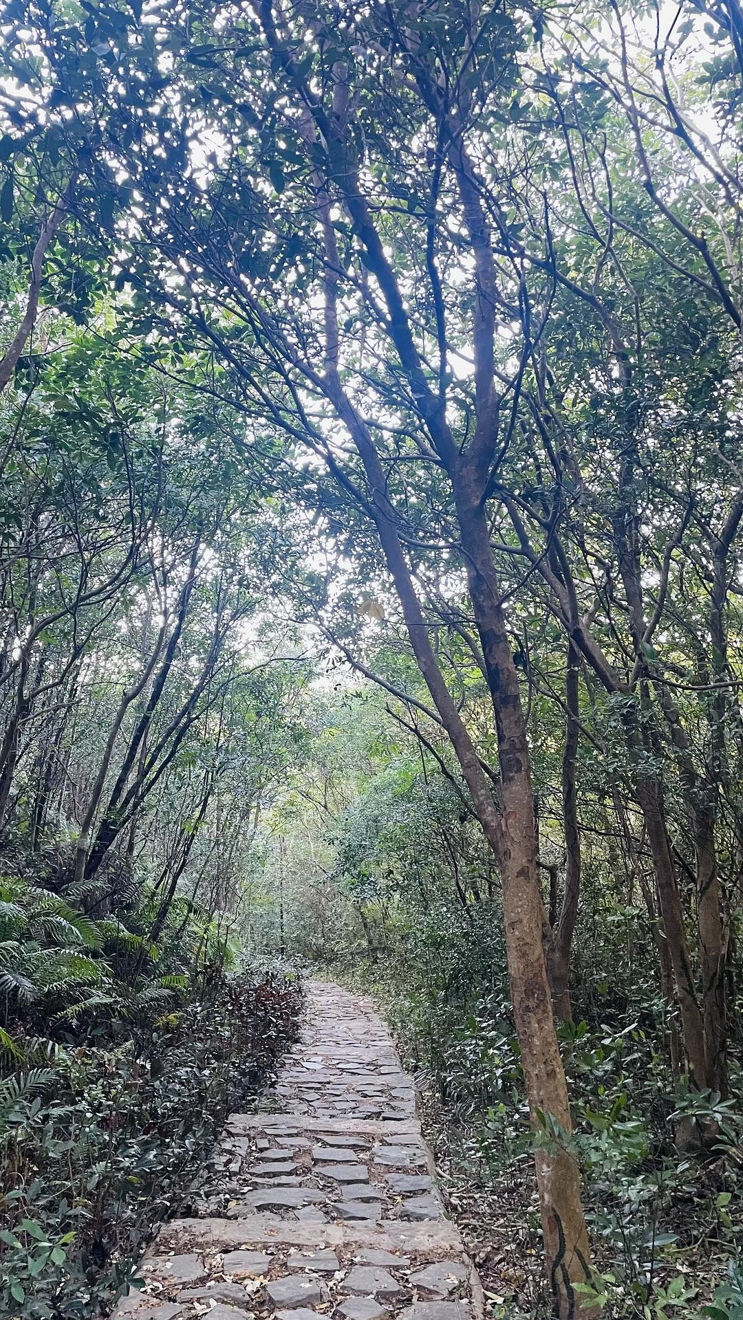 go hiking ⛰️
去去班味儿～ - 图6