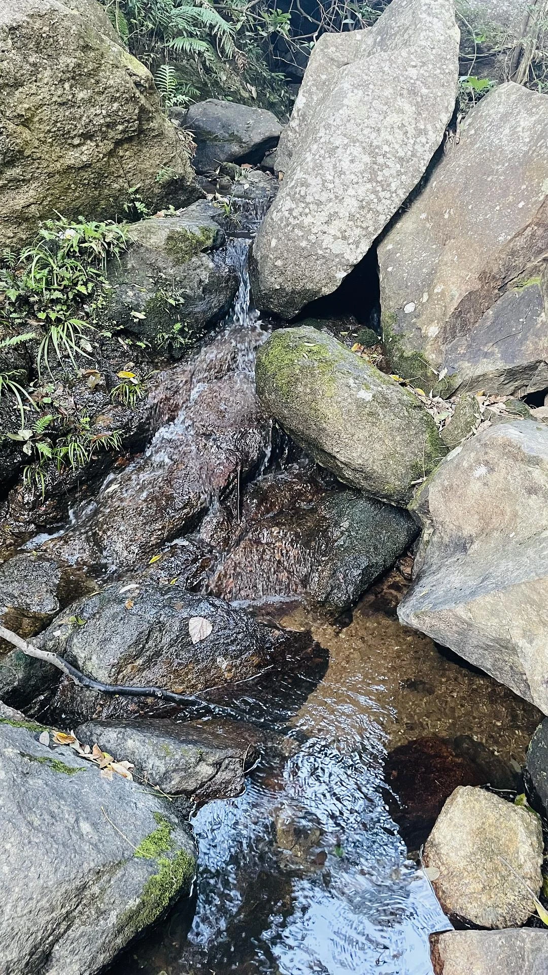 go hiking ⛰️
去去班味儿～ - 图7