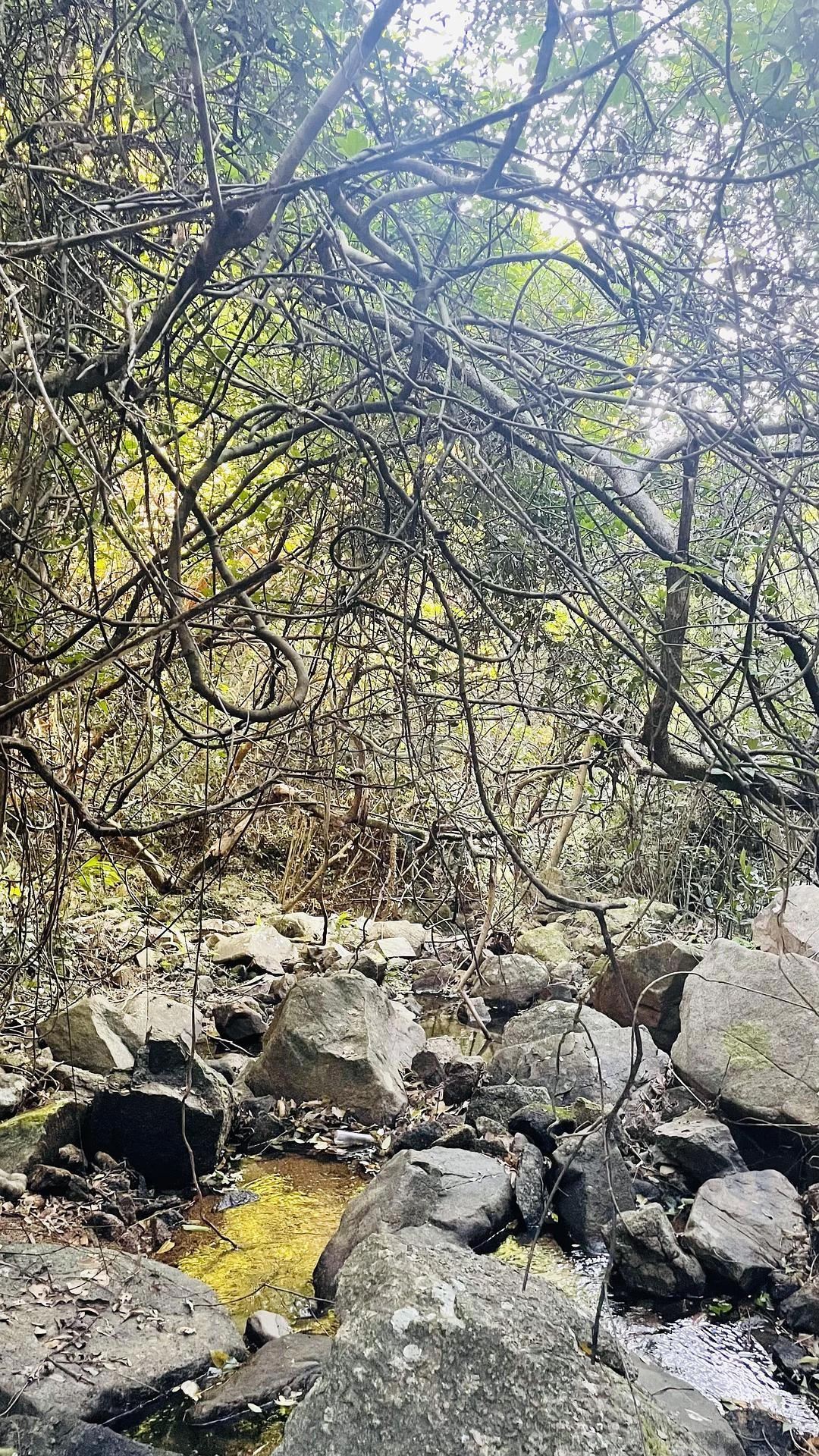 go hiking ⛰️
去去班味儿～ - 图8