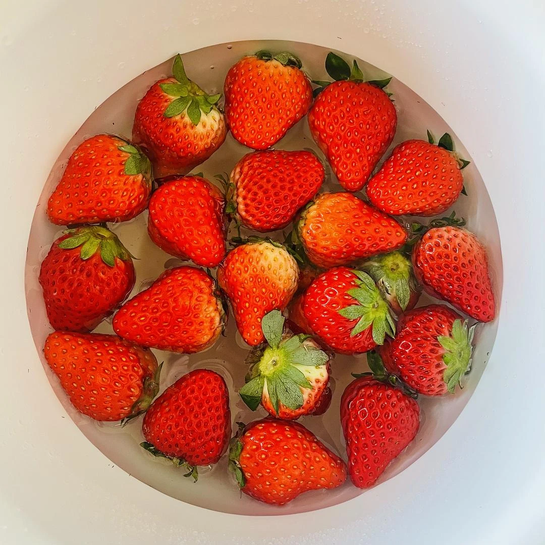 今日宜
晒太阳🌞吃草莓🍓 - 图1