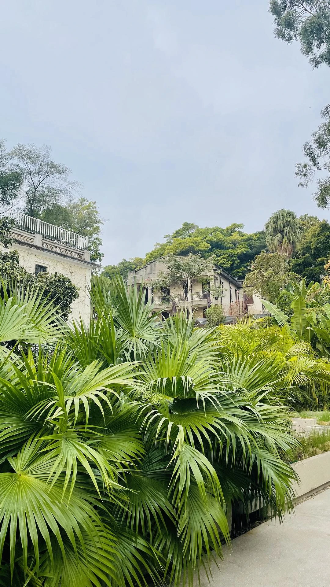 每一个街溜子，都是65岁遛弯的主力军
—— 在别 - 图1