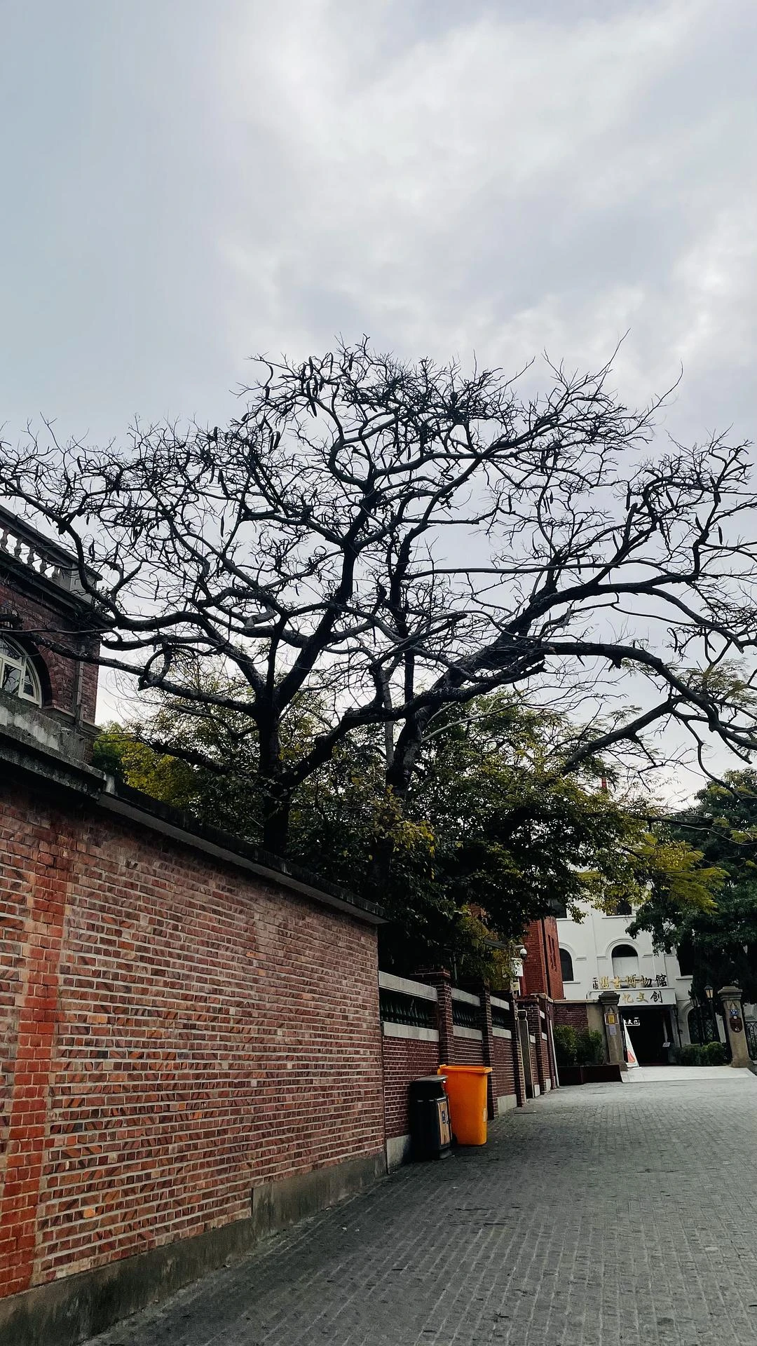 每一个街溜子，都是65岁遛弯的主力军
—— 在别 - 图5
