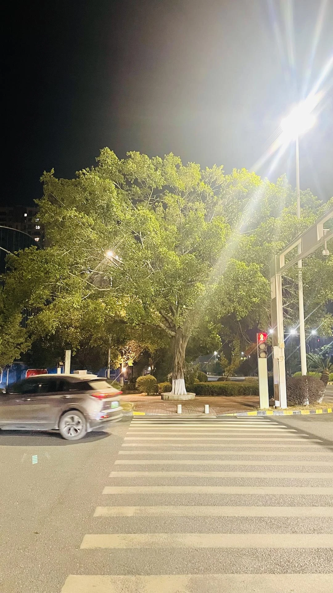 在粤北已经感受到了一丝丝寒意 - 图1