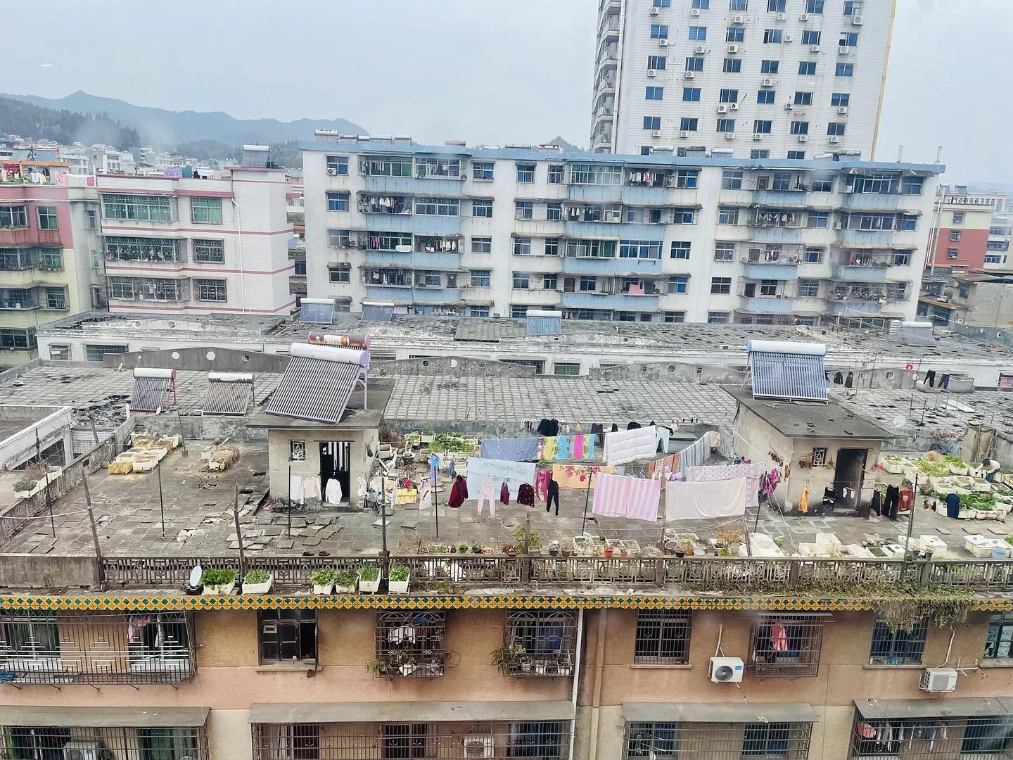 这样的房子看起来就特别有乡土气息（褒义的） - 图1
