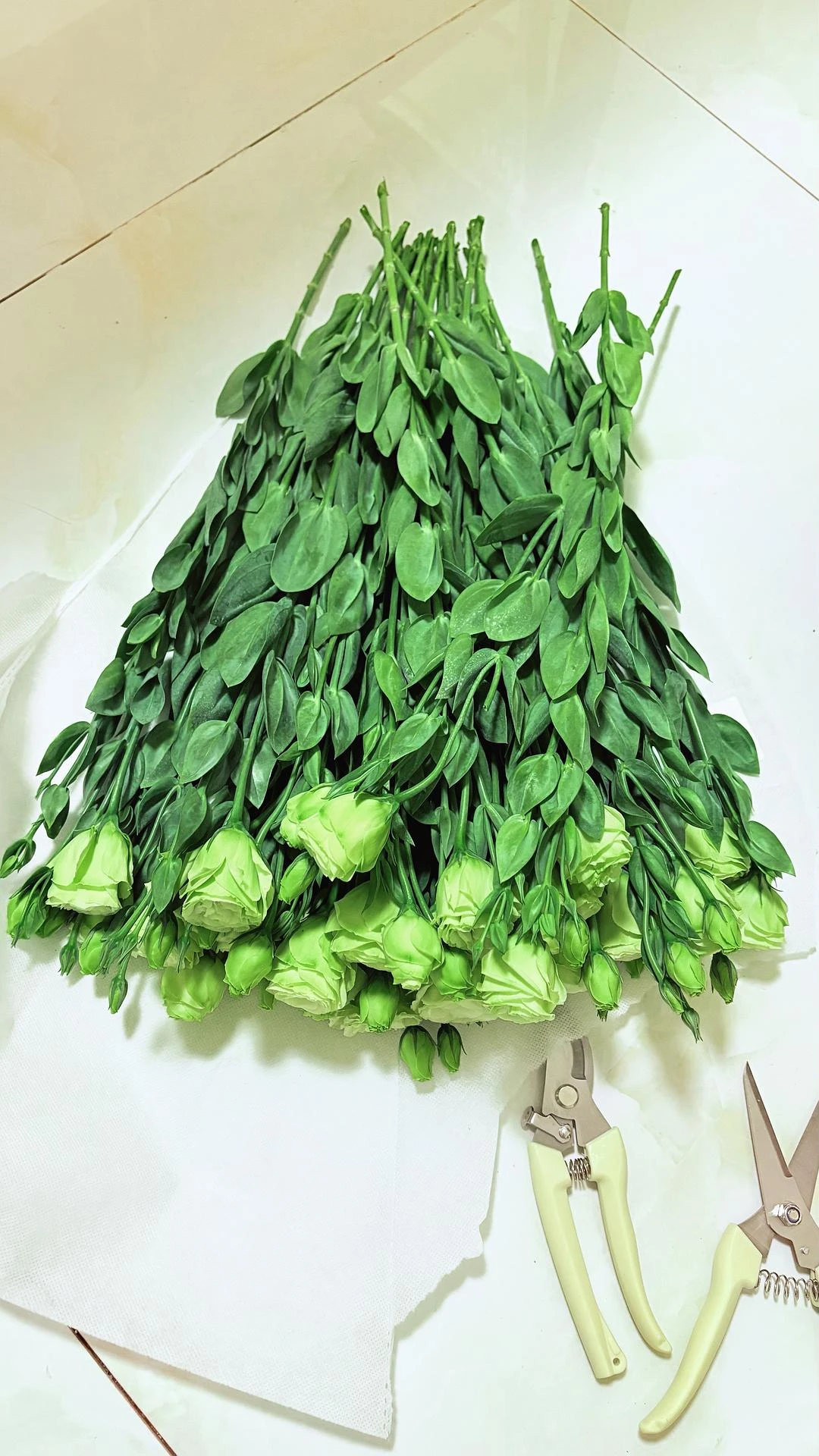 吃完饭回来的路上，买了一束花，家里没有醒花桶，花 - 图1