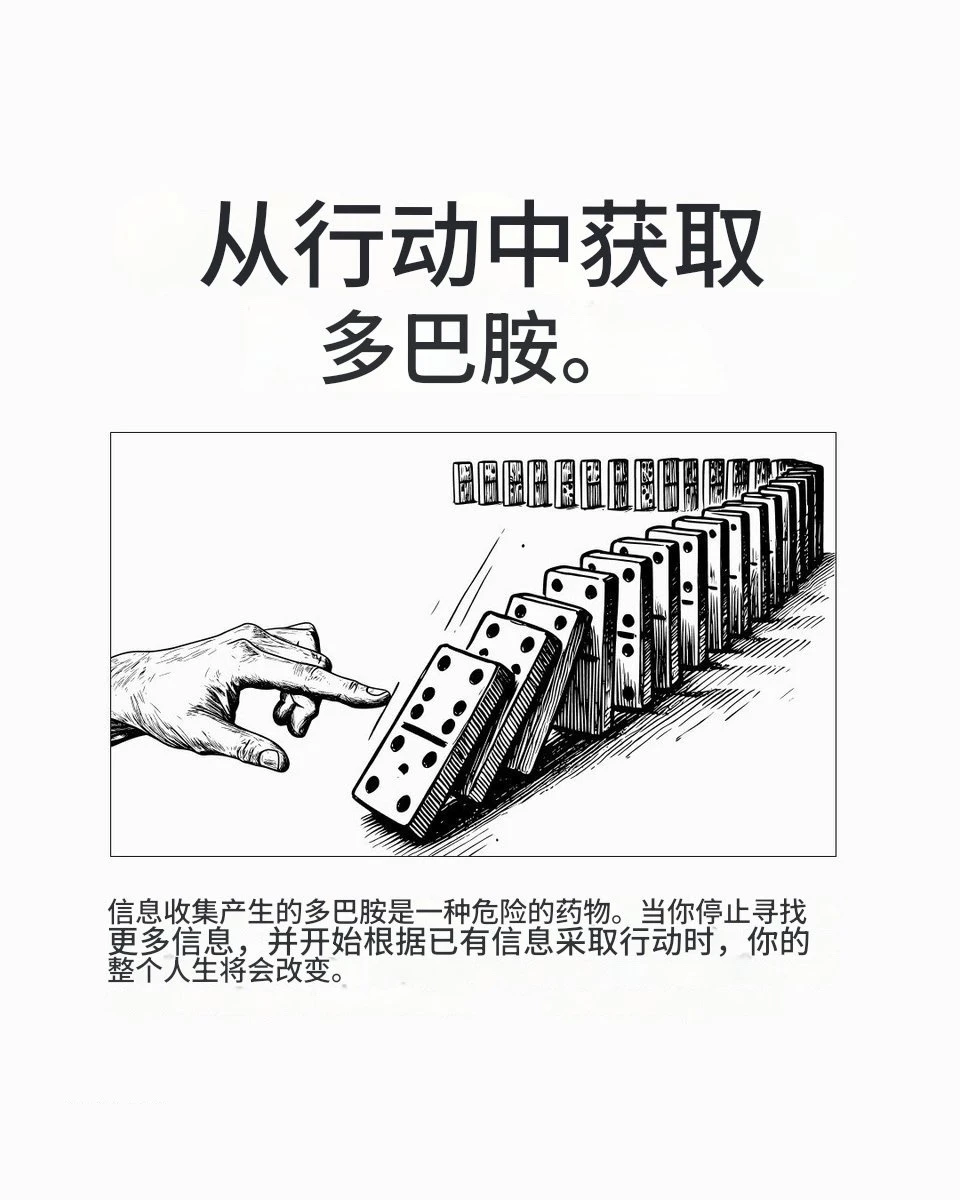 不做资料收集狂，从行动中获取正反馈 - 图1