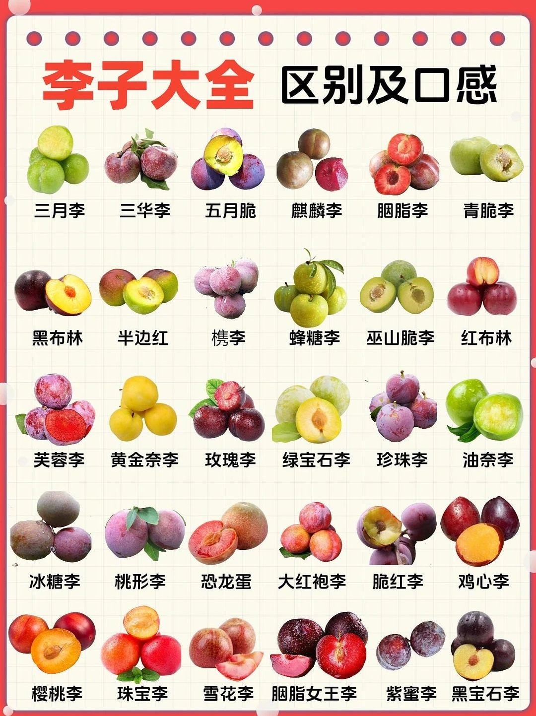 想吃各种各样的李子 - 图1