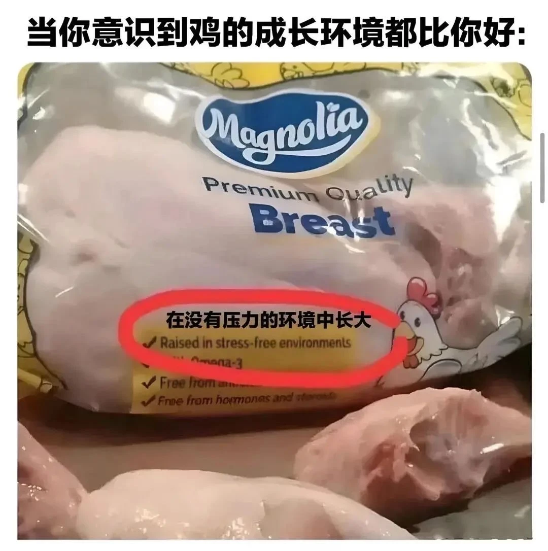 玛德！过得还不如鸡！ - 图1