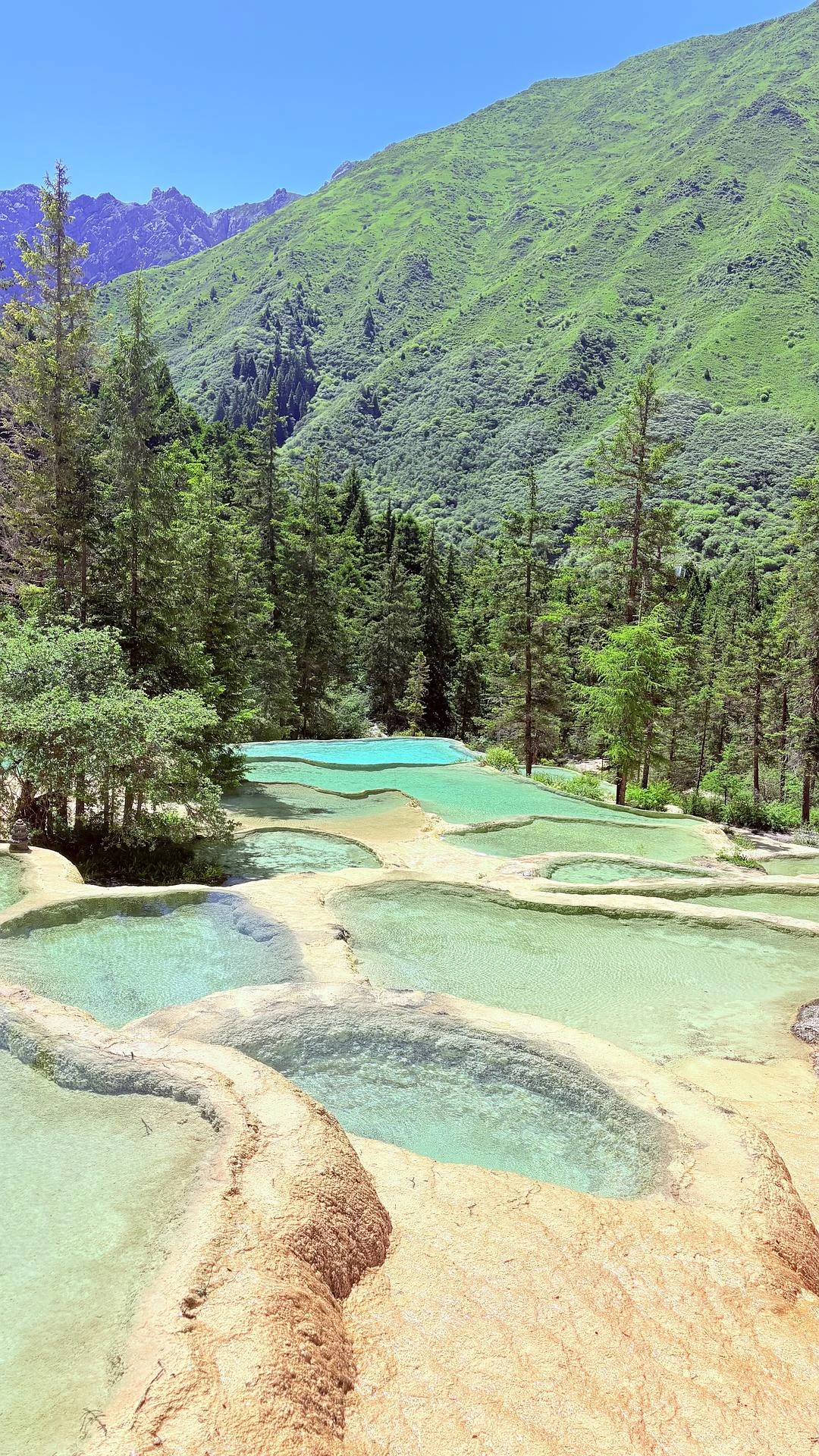 打工暂停🌳现在是护眼时间 - 图10