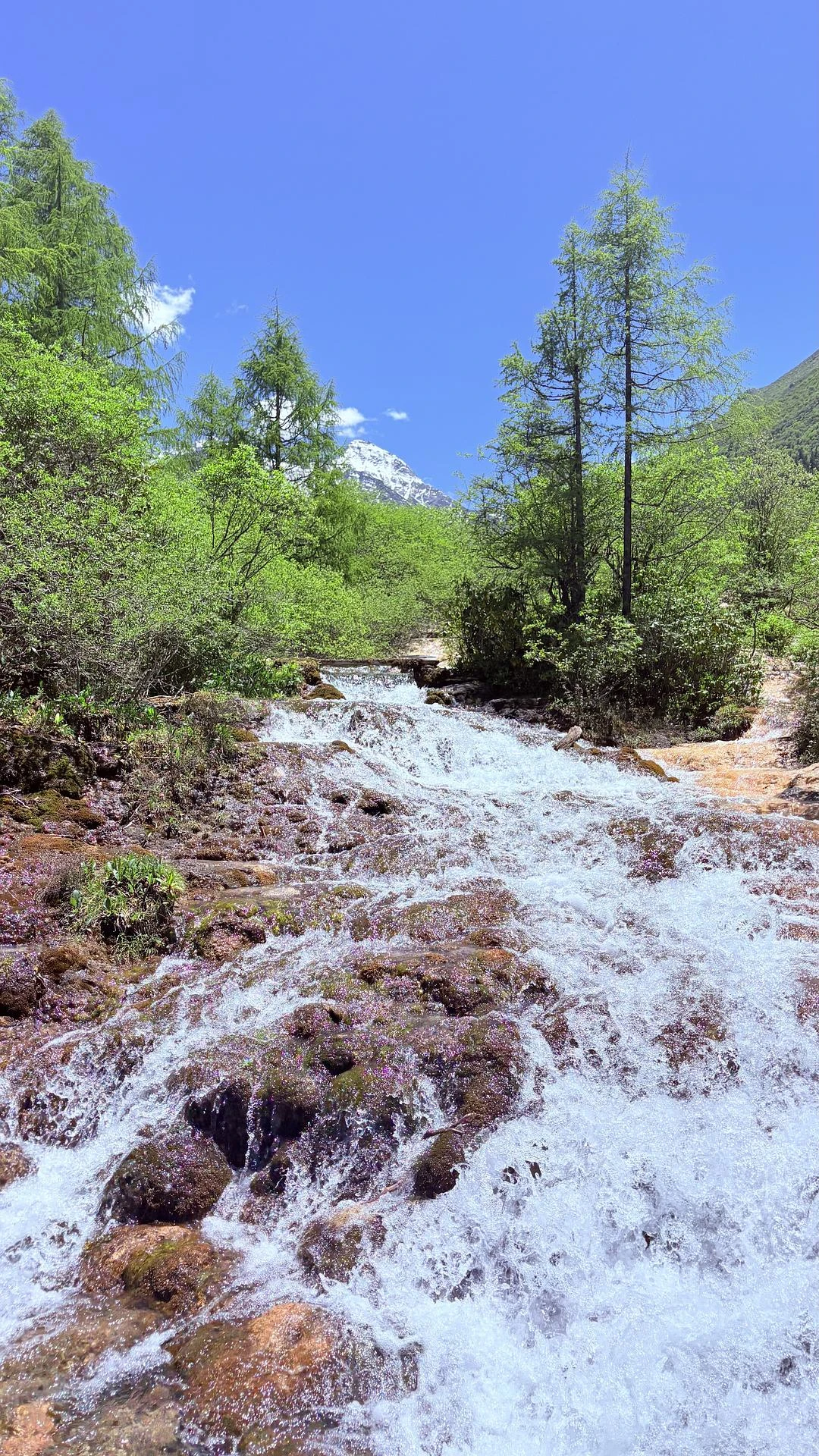 打工暂停🌳现在是护眼时间 - 图2