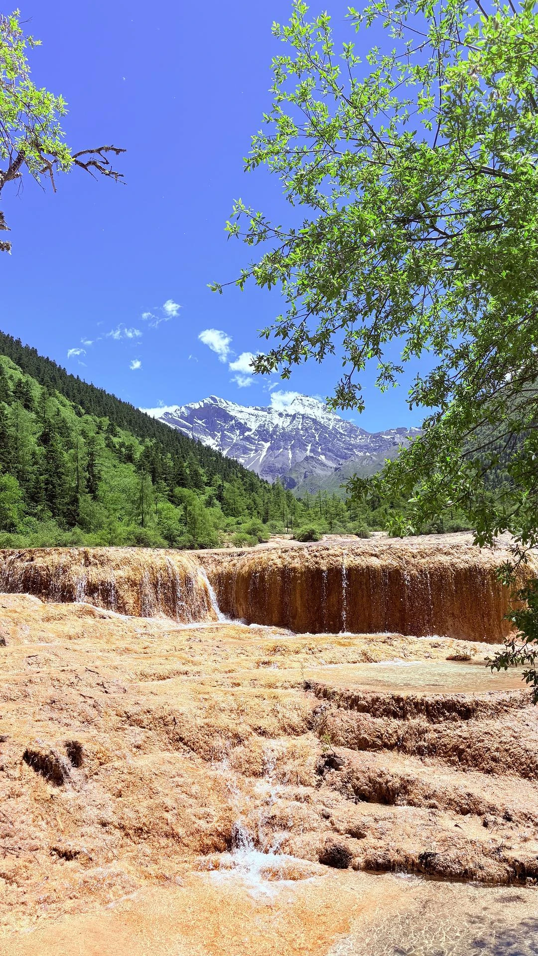 打工暂停🌳现在是护眼时间 - 图3