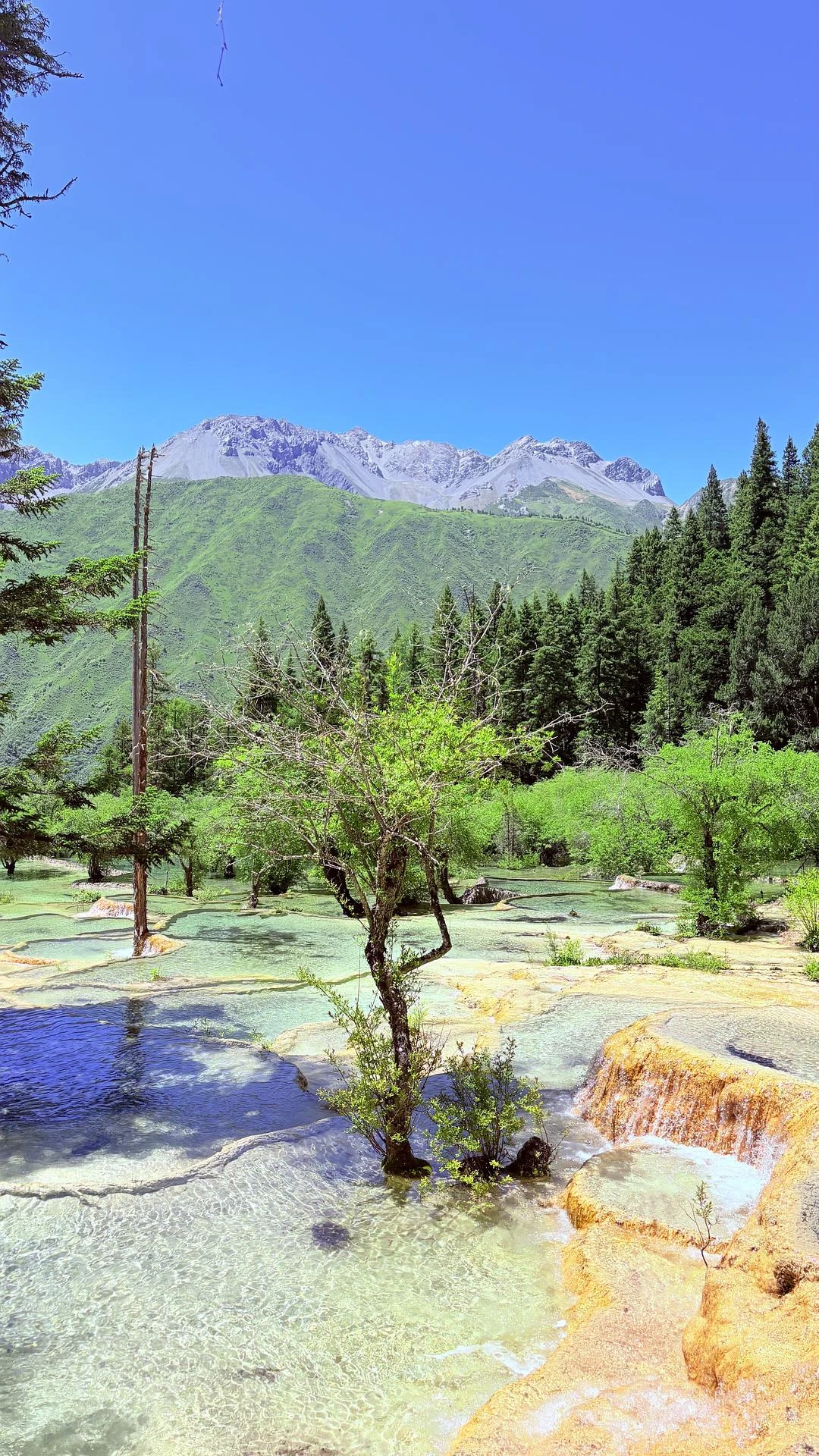打工暂停🌳现在是护眼时间 - 图7