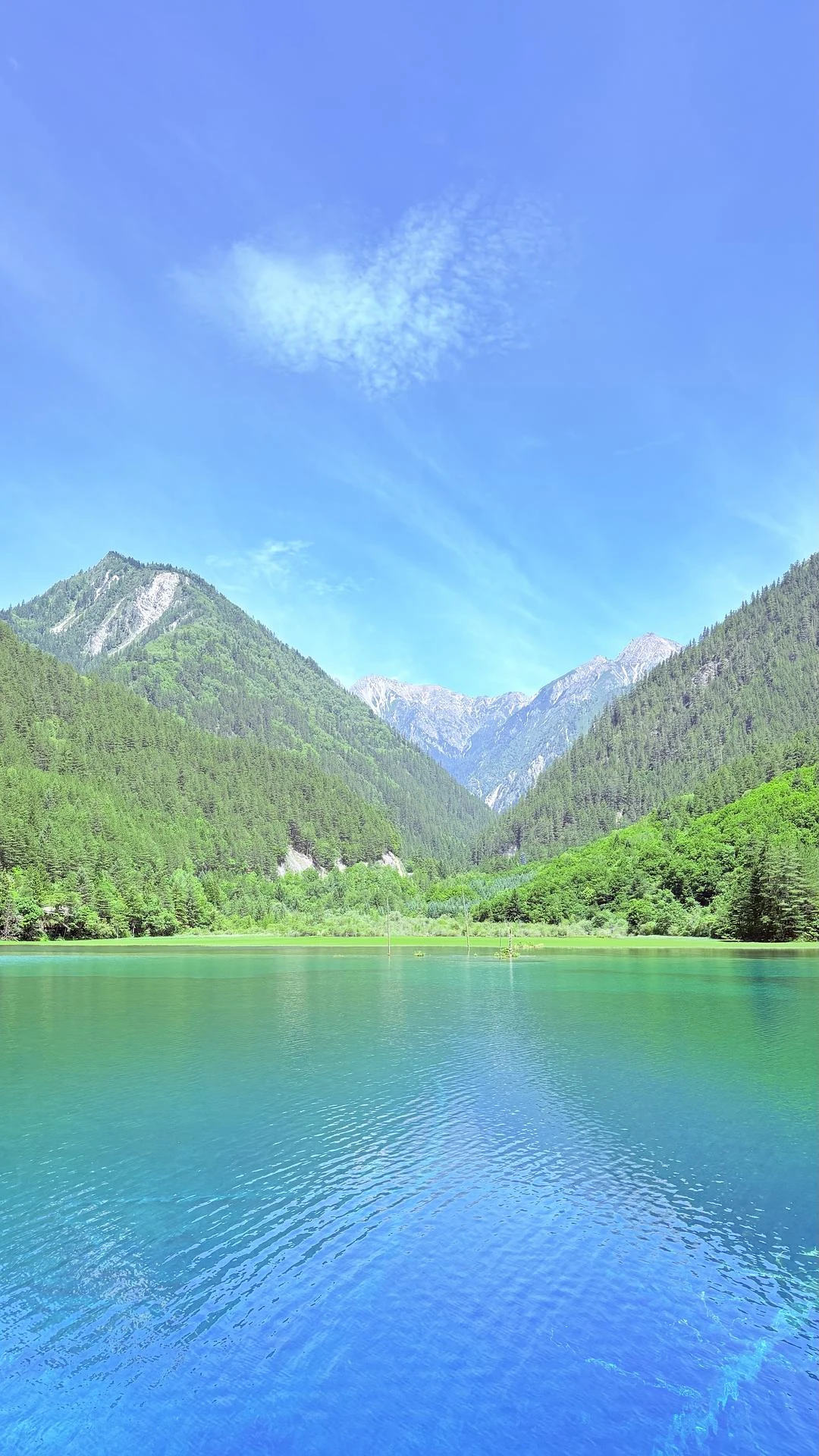 九寨沟的灵魂，是色彩斑斓的海子 - 图2
