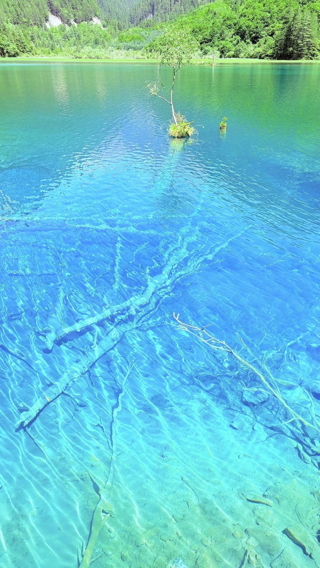 九寨沟的灵魂，是色彩斑斓的海子 - 图4