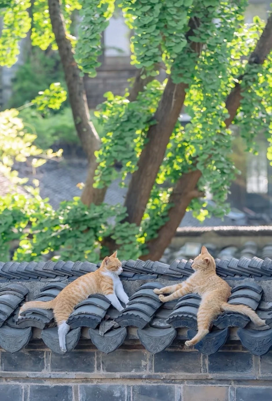 Have a nice weekend🥰 - 图1