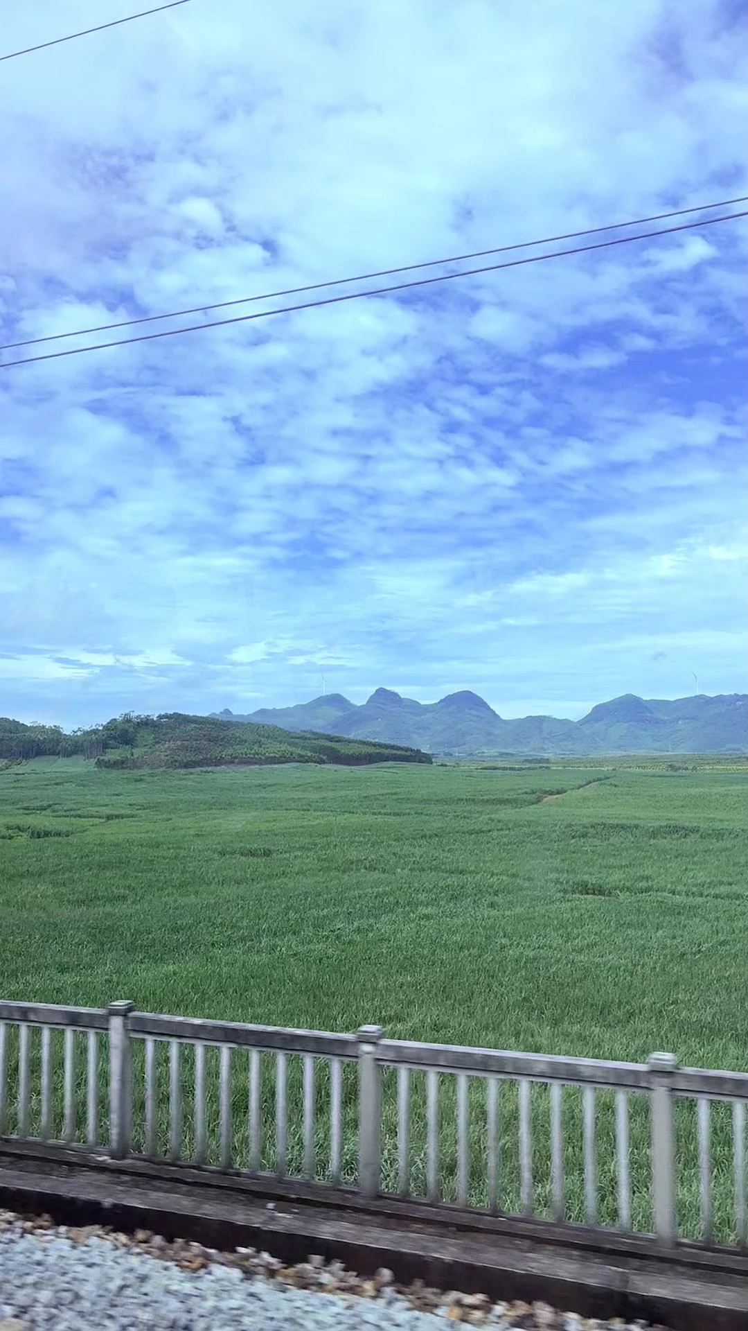 都是牛马，众生皆苦。 - 图1