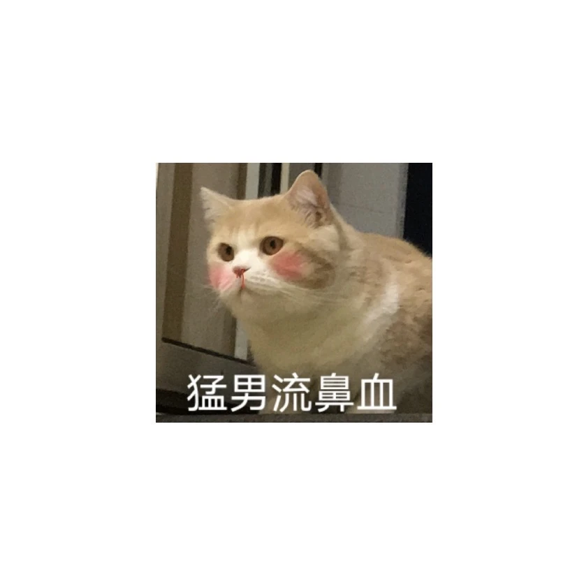 我想回岭南了，坚持不到阿勒泰了，西北的天气太干了 - 图1