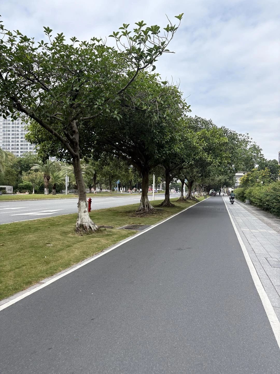 秋高气爽适合骑车🚴 - 图1