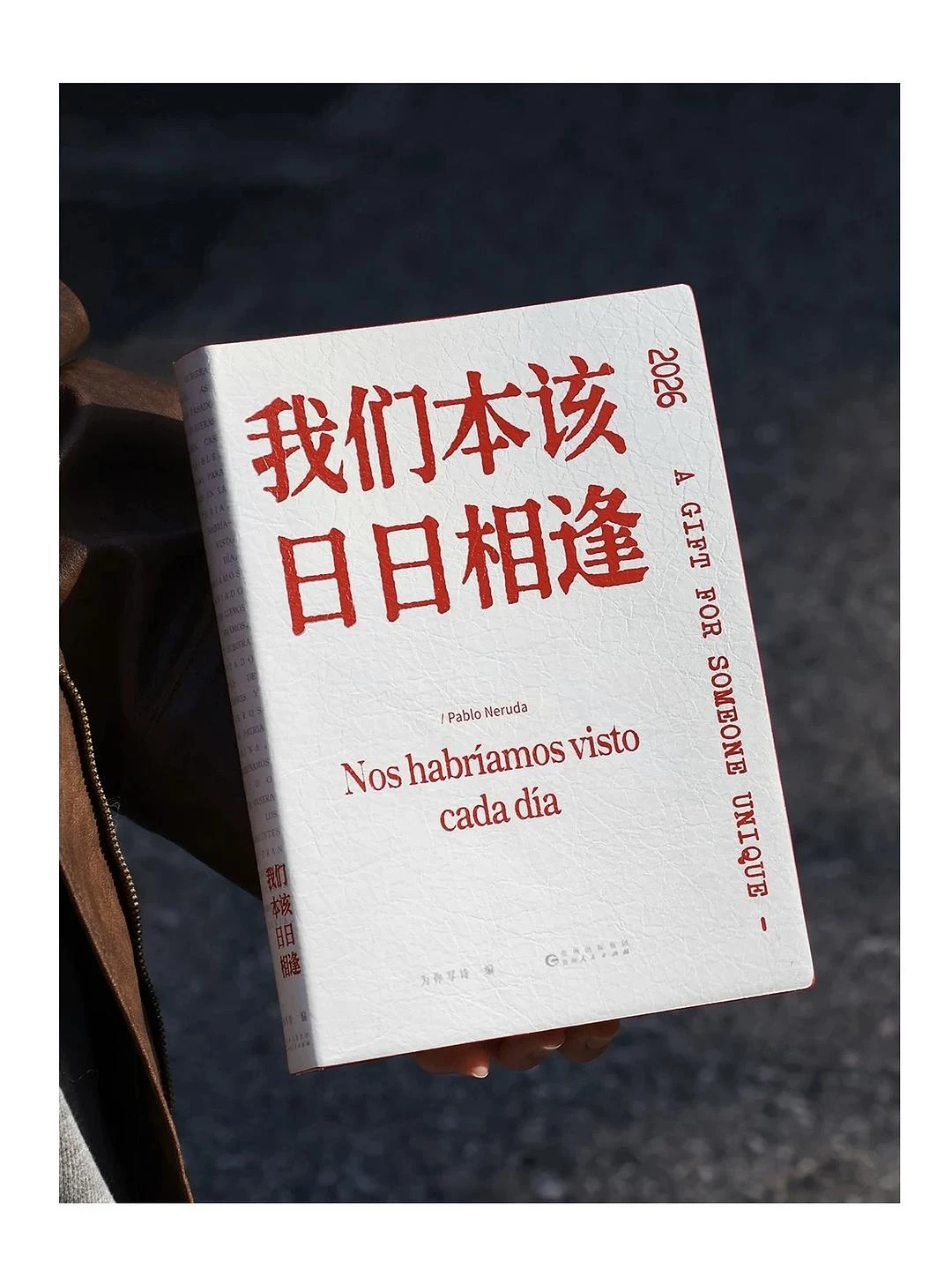 看到一本聂鲁达诗集《我们本该日日相逢》做的创意日 - 图1