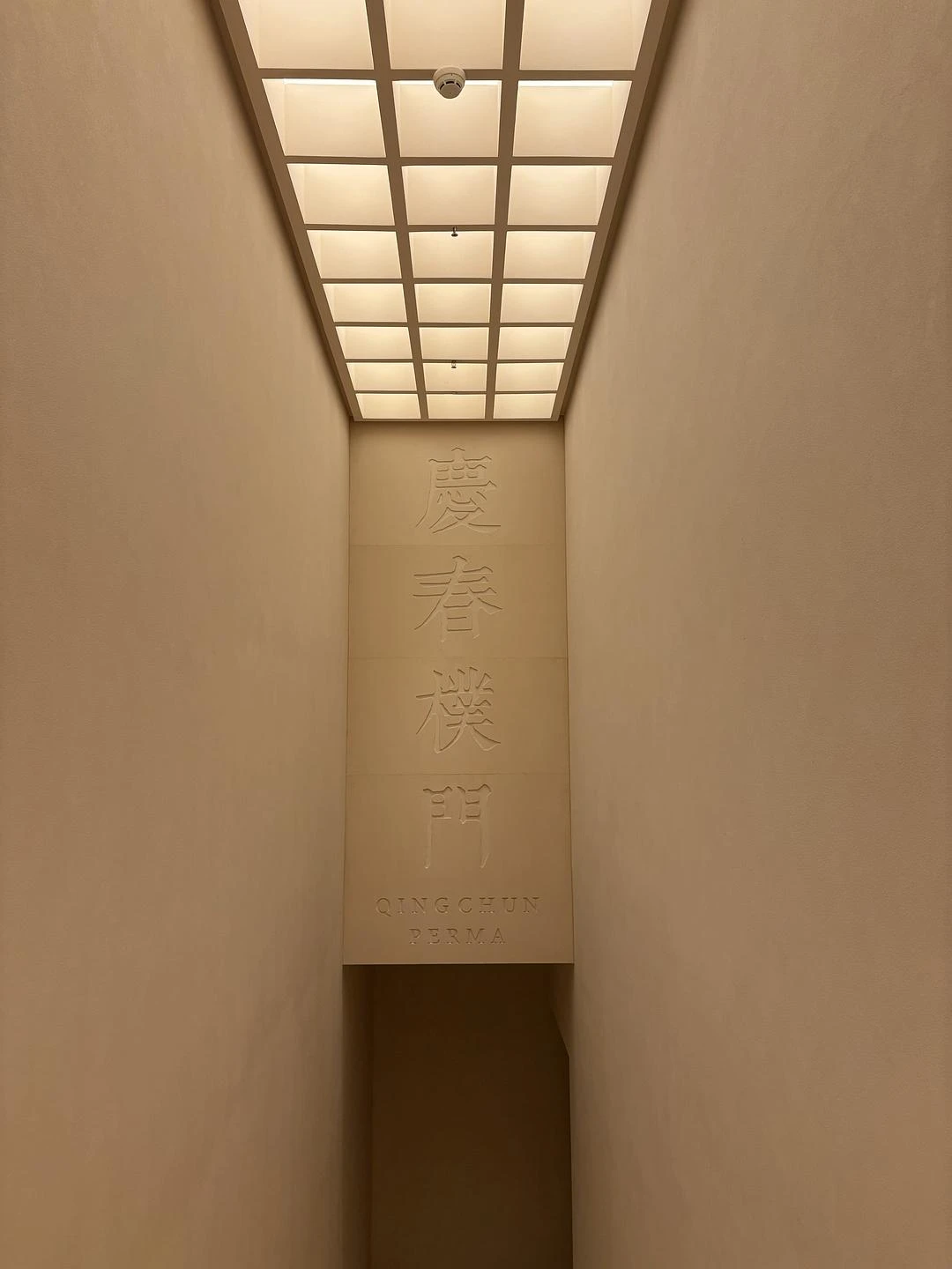 环境满分，菜品精致，味道一般，重油重盐还有点辣 - 图1