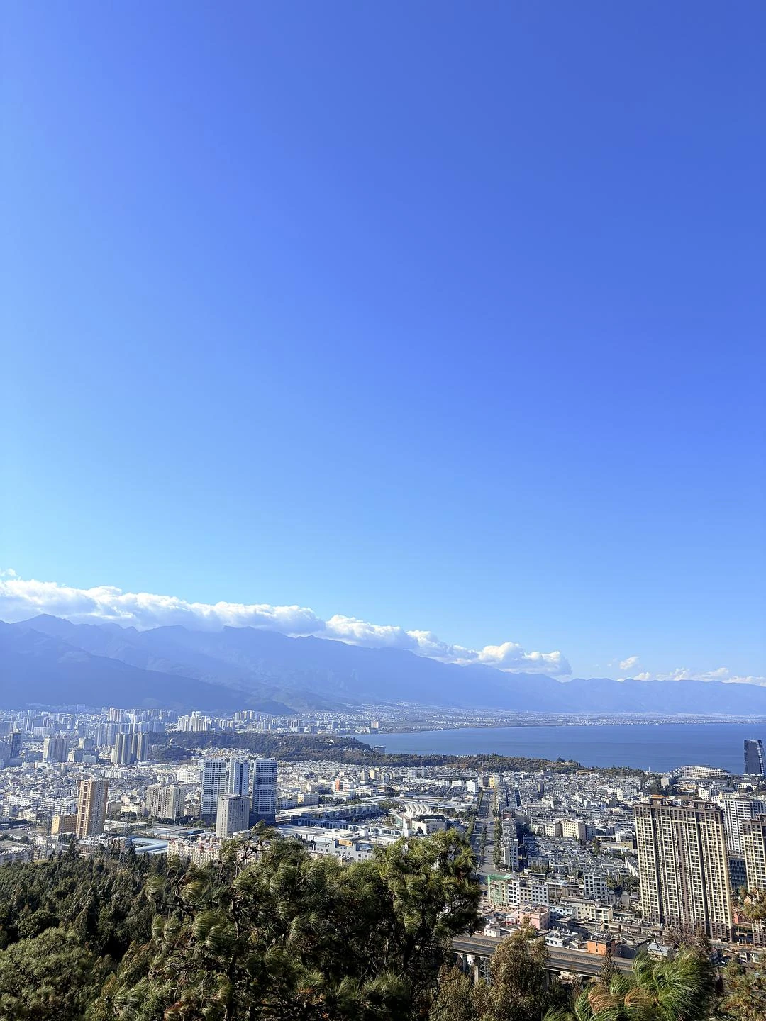 《爱乐之城》里有一段，是高司令和石头姐在俯瞰洛杉 - 图8