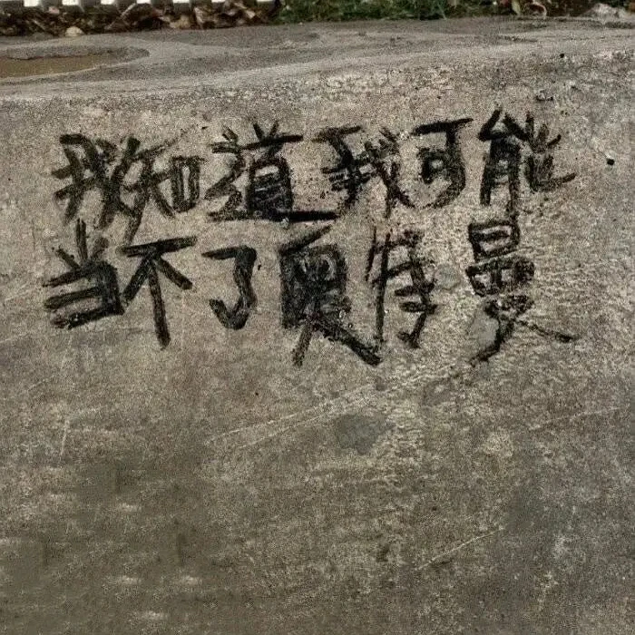 闪念配图