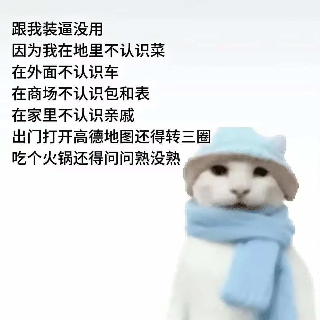 闪念配图