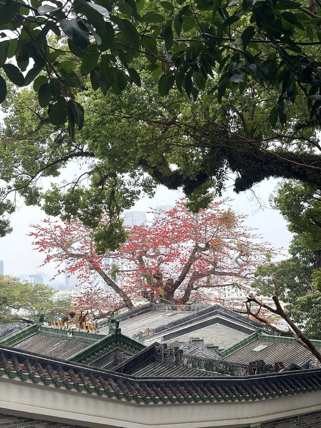 闪念配图
