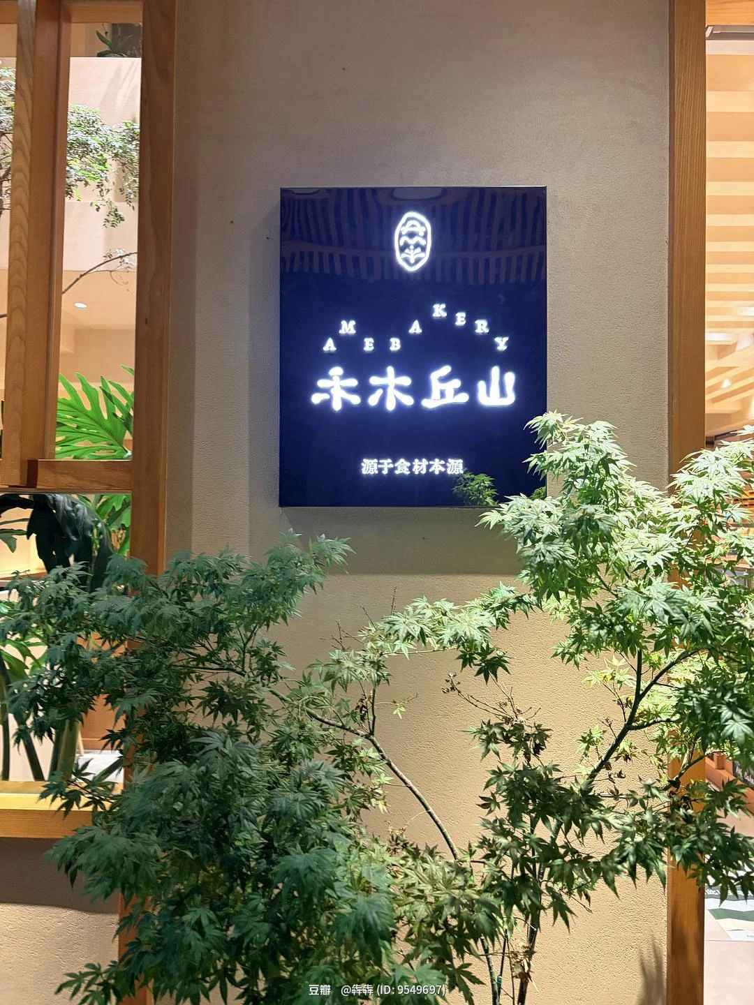 闪念配图