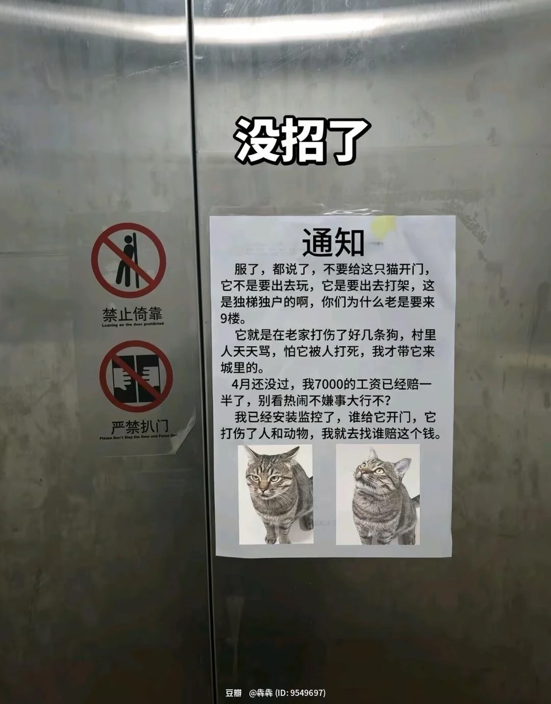 闪念配图