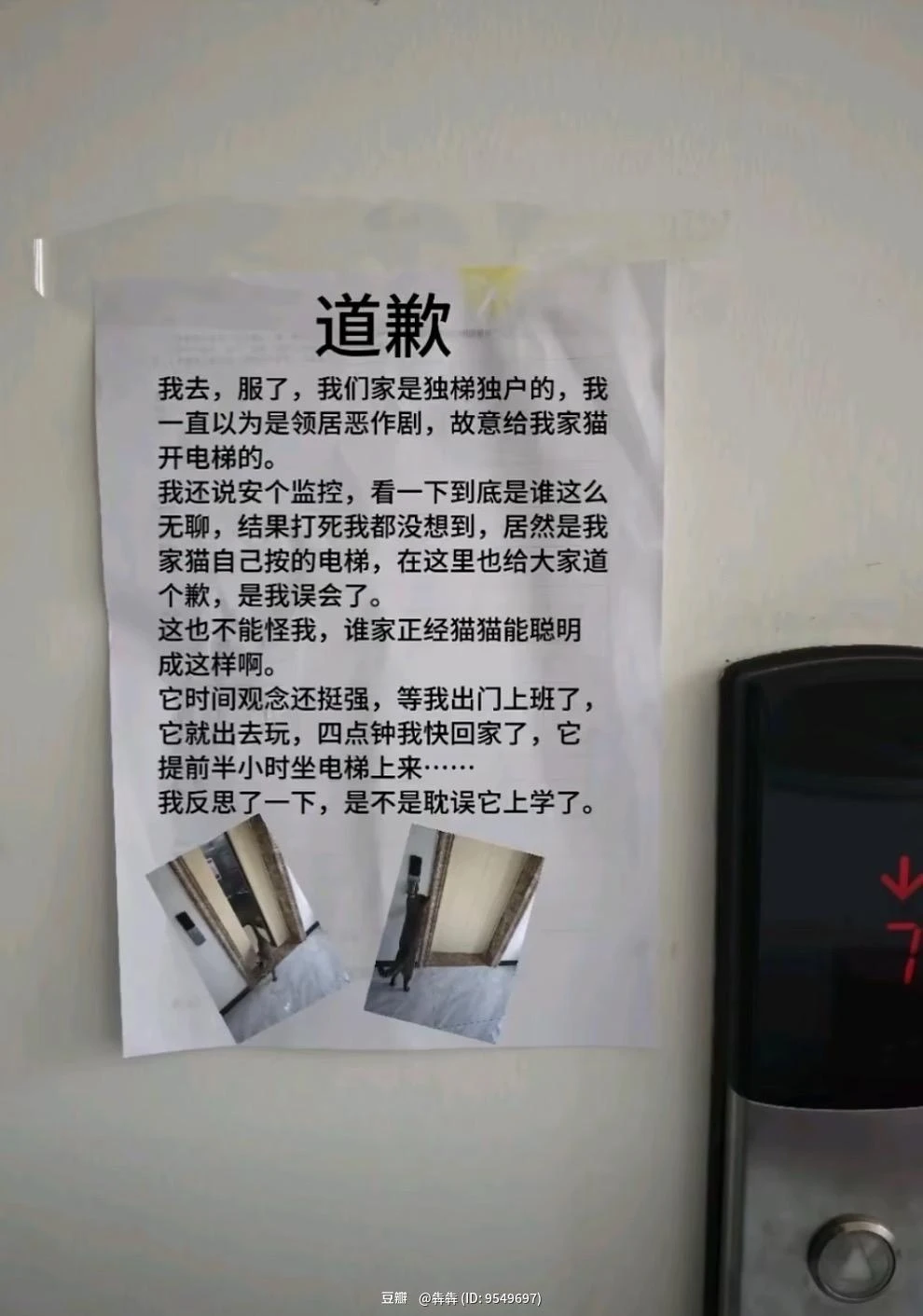 闪念配图