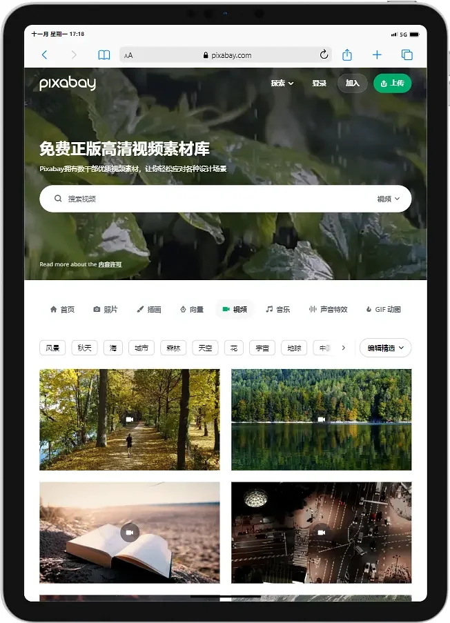 插图